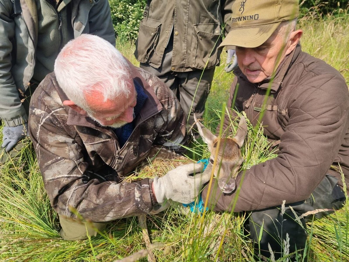 Le Parisien tweet media