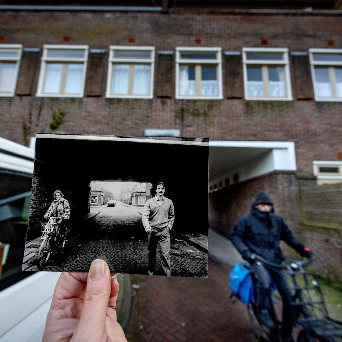 ❌️❌️❌️6️⃣ Dafne (formerly know as Daphne)🤍❤🤍 tweet media