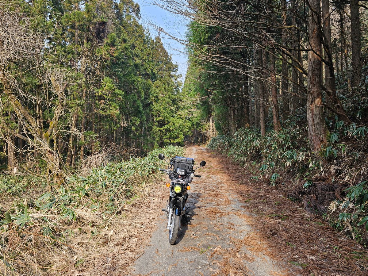 富山県民 tweet media