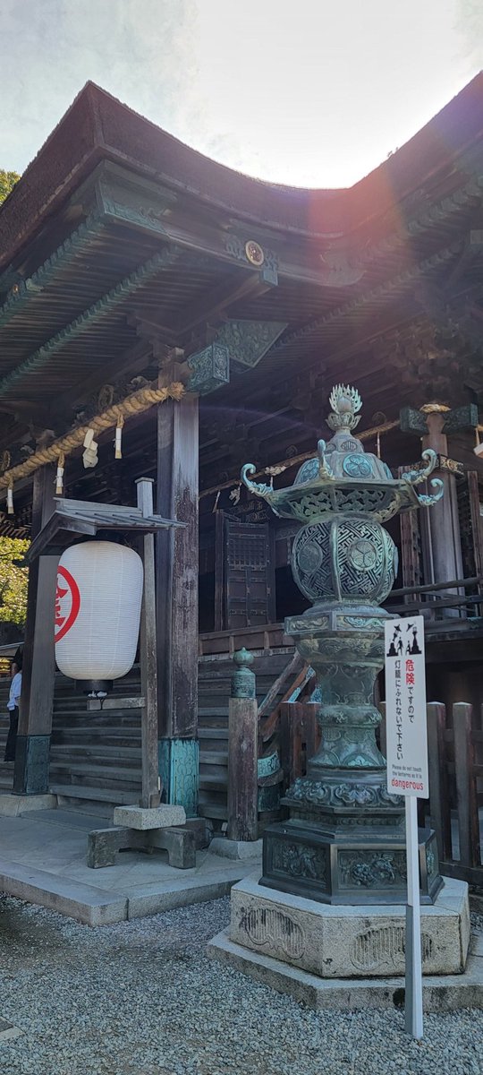 四國(いわし🐟) tweet media