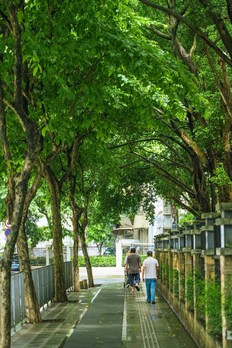 johnny boy tizon tweet media