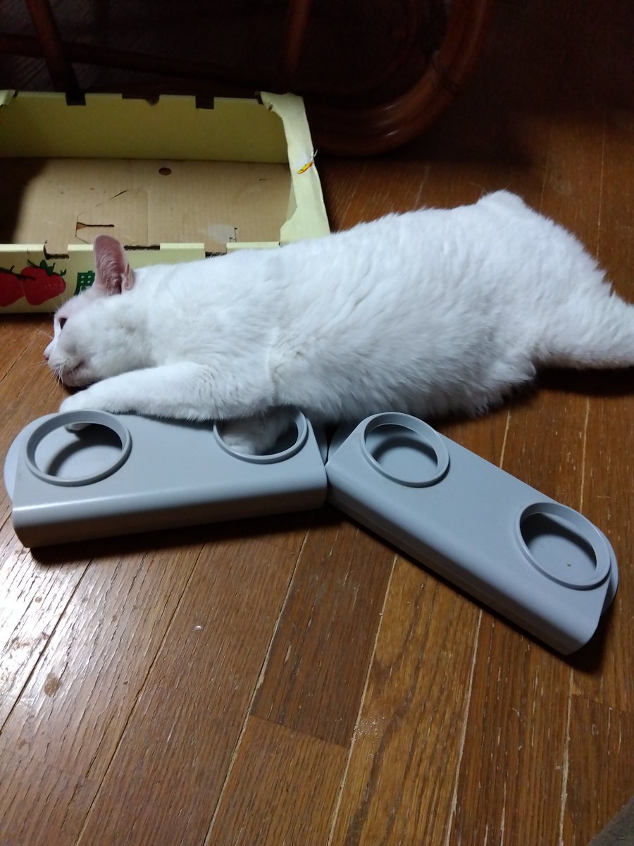 バニラ tweet media