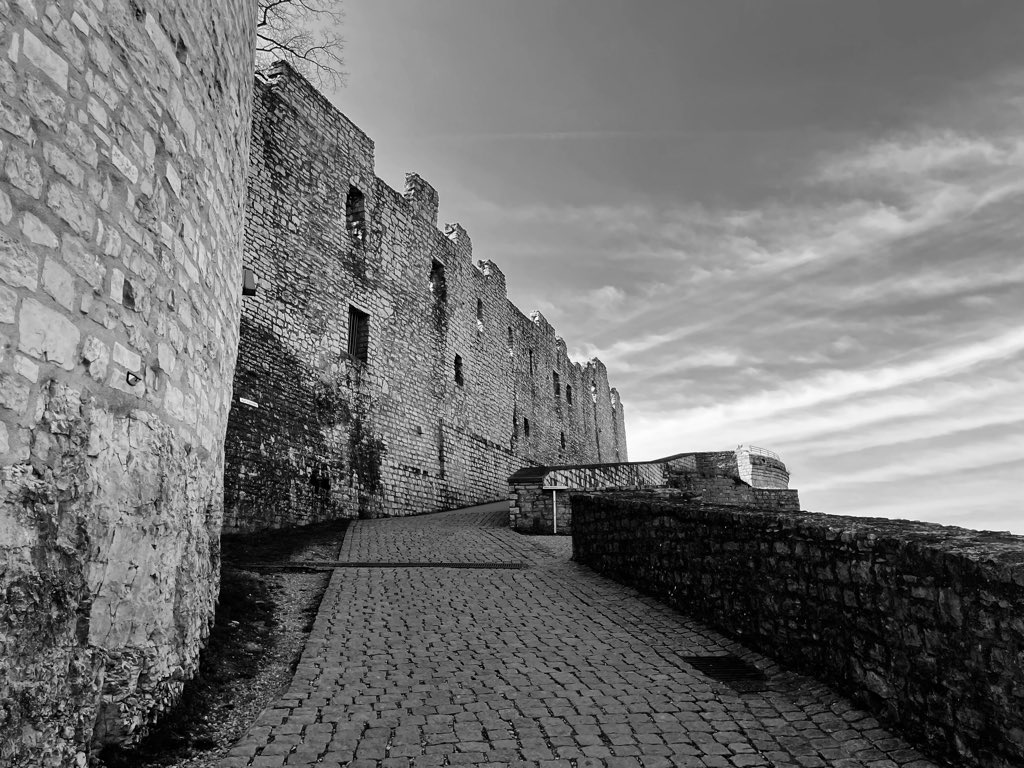 FiftyStepsStudio tweet media