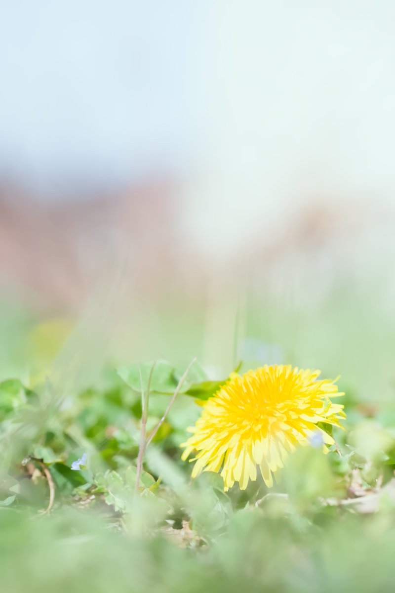 ナノ式 tweet media