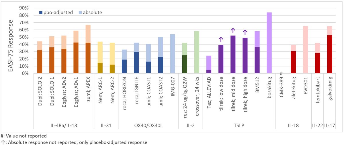 Ohad Hammer tweet media