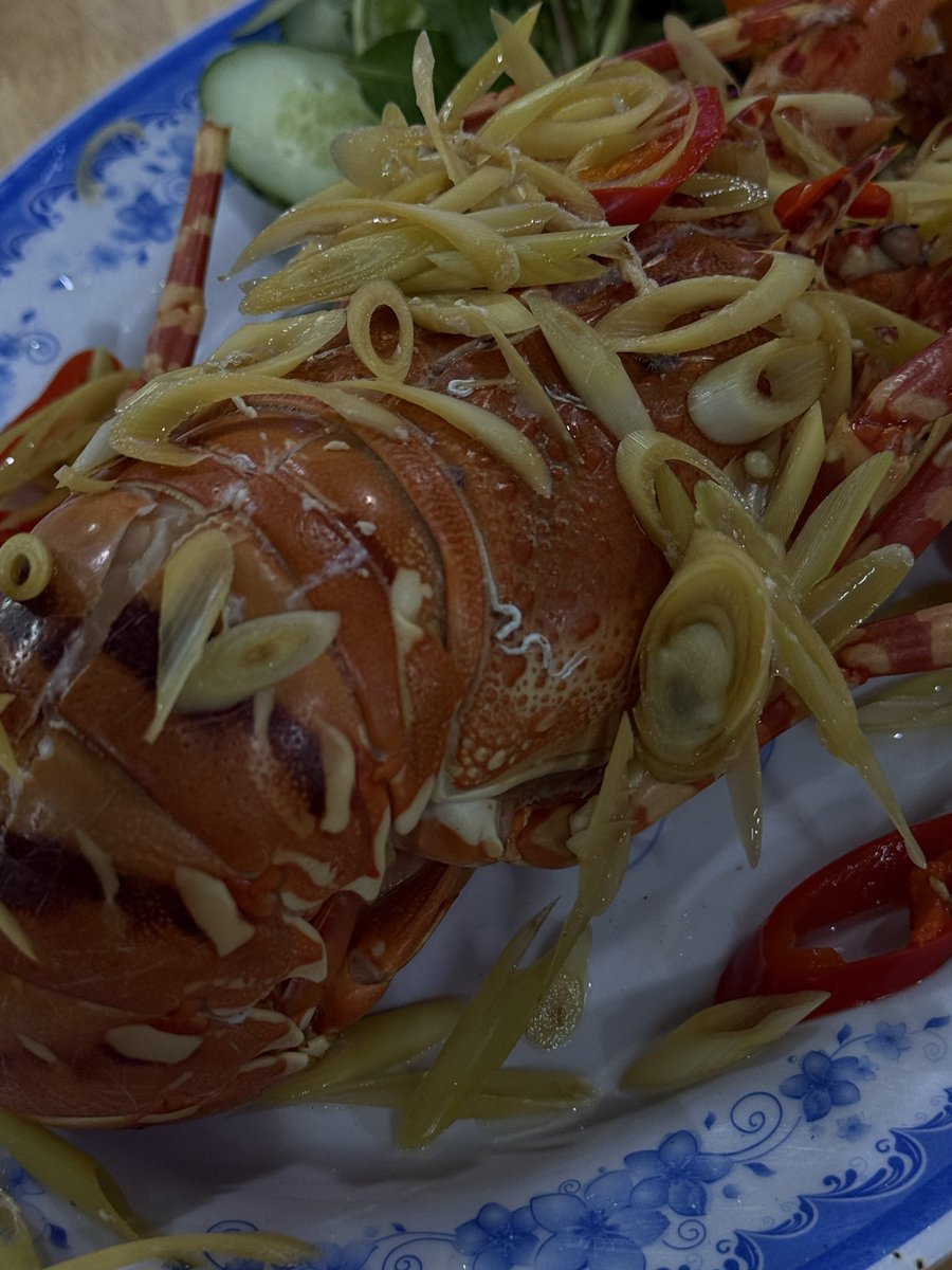 Miss York tweet media