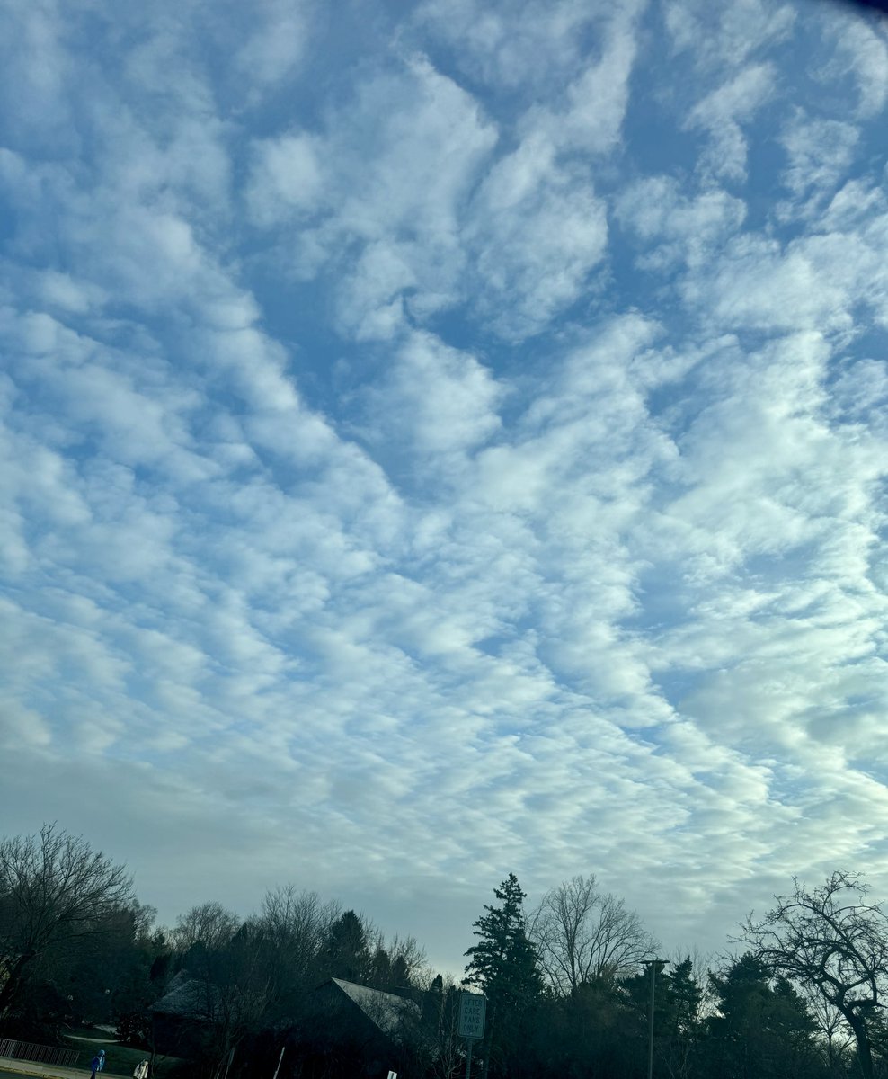 AmaZonka ❣️ tweet media