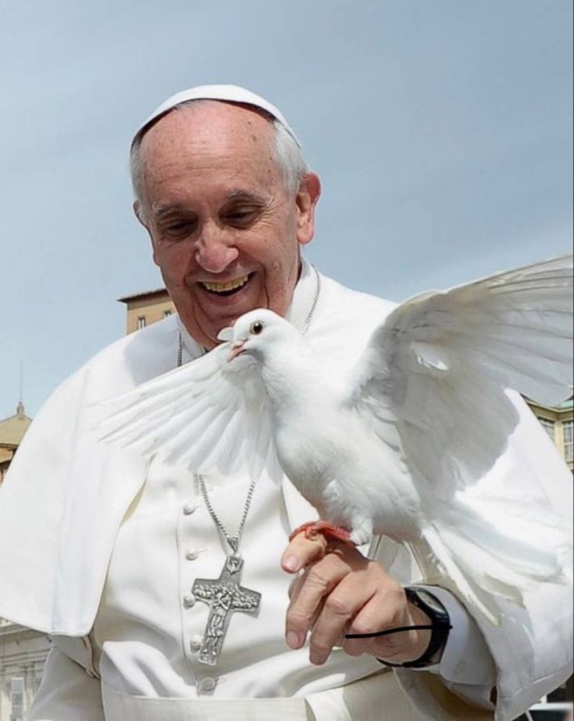 Aníbal Fernández tweet media