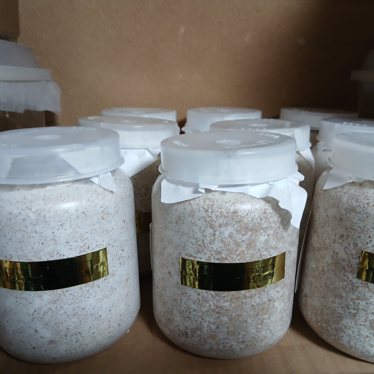 マコパパ tweet media