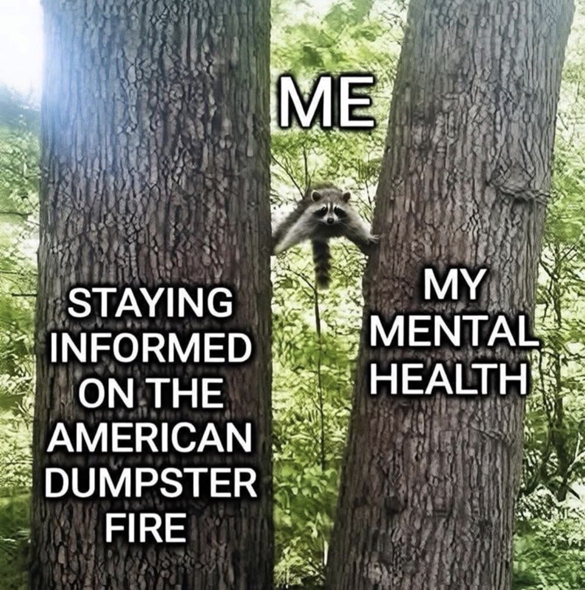 Uncontrolled Opposition (UN-OPS) tweet media