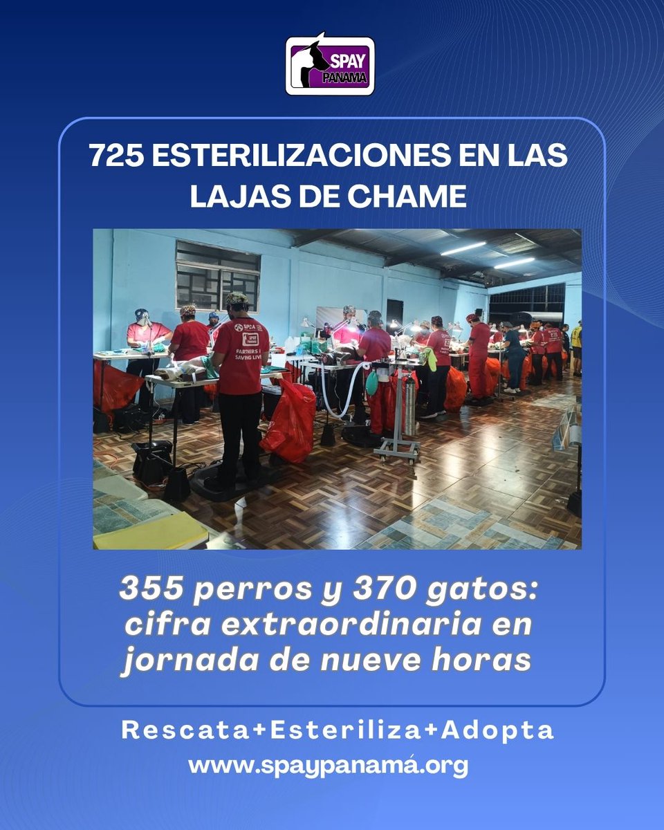 Spay Panama tweet media