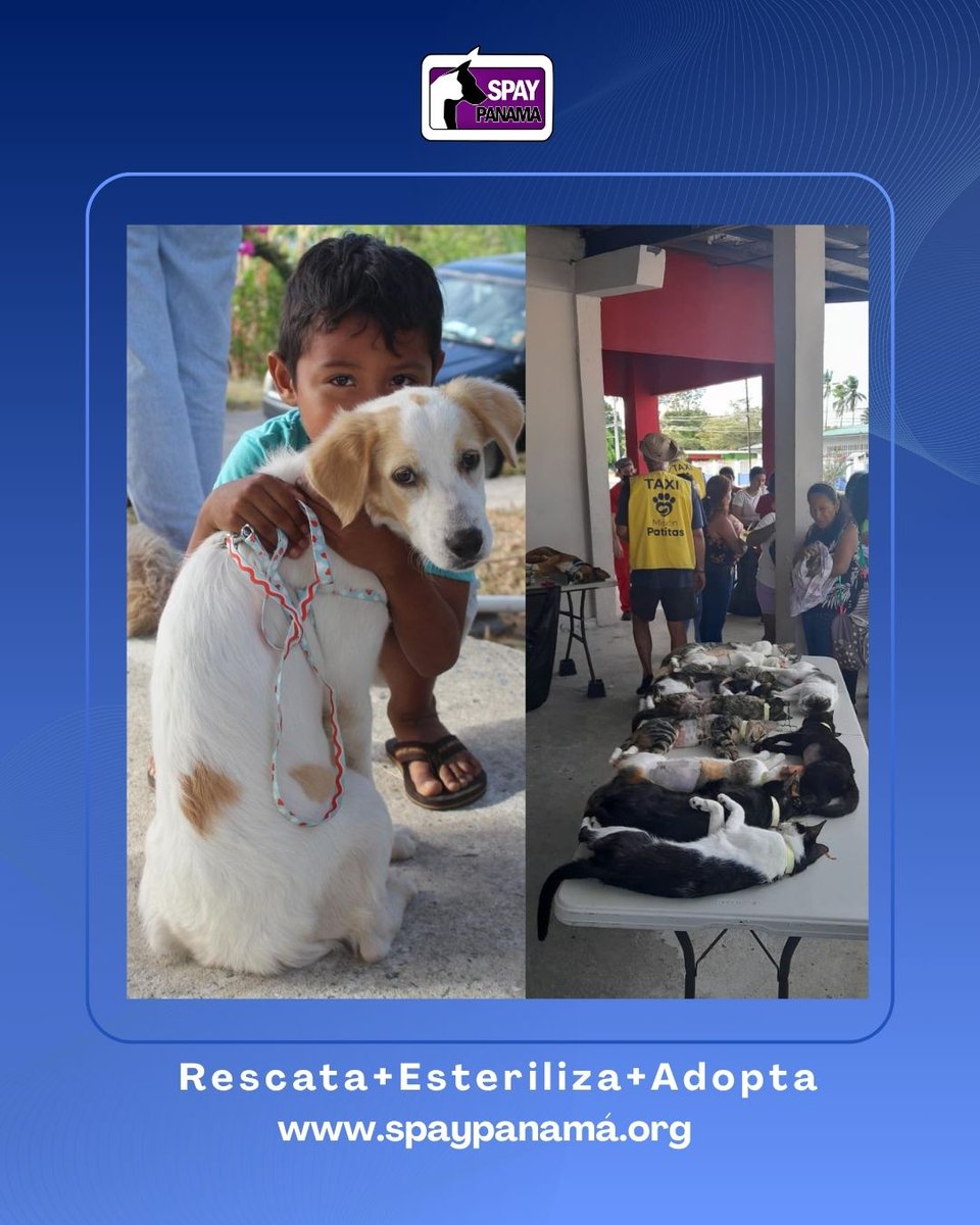 Spay Panama tweet media