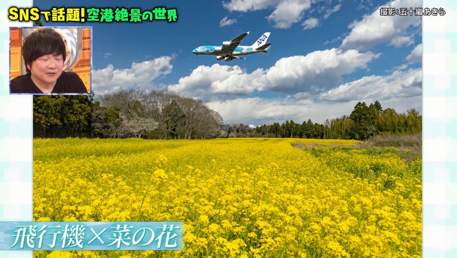 写真に写ってるA380はほとんどが除籍中で残ってるのが珍しいらしい