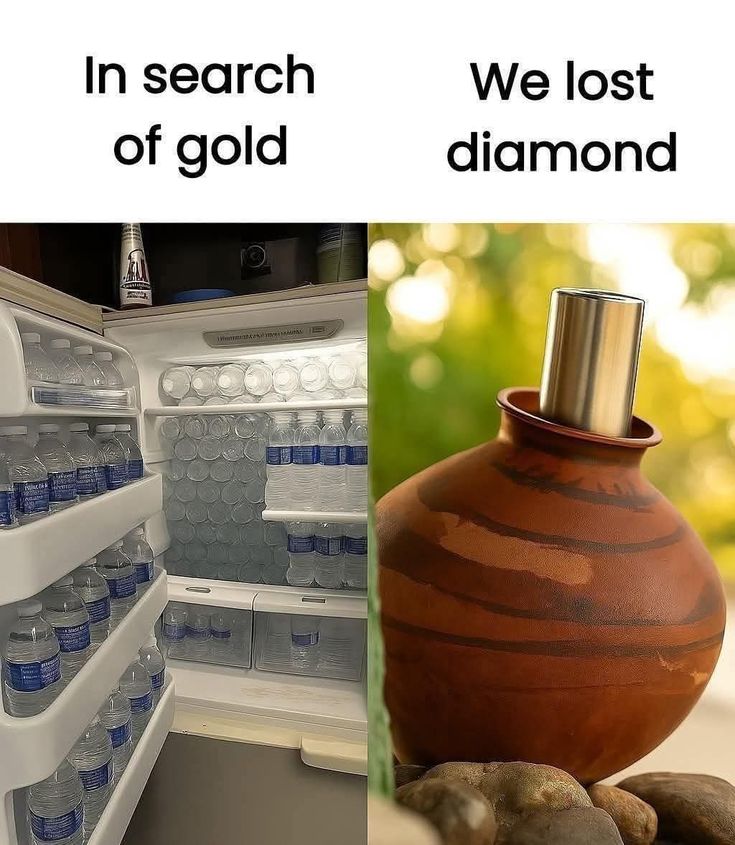 aditi🪻🐣🐟🦁 tweet media