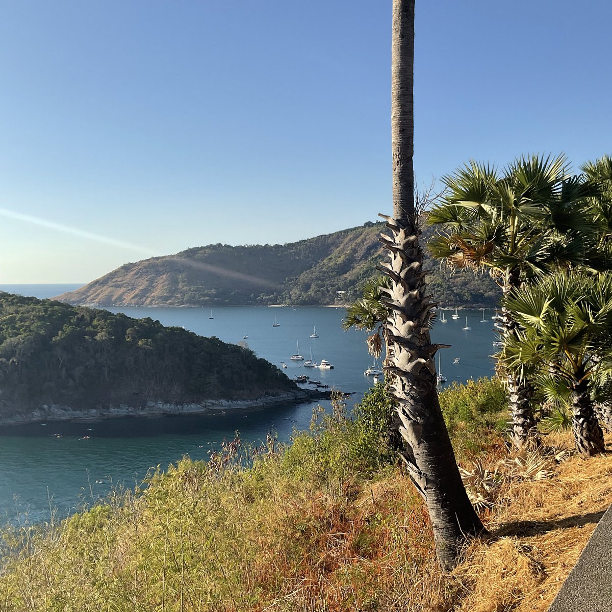 𝙗𝙖𝙗𝙮𝙥𝙝𝙪 tweet media