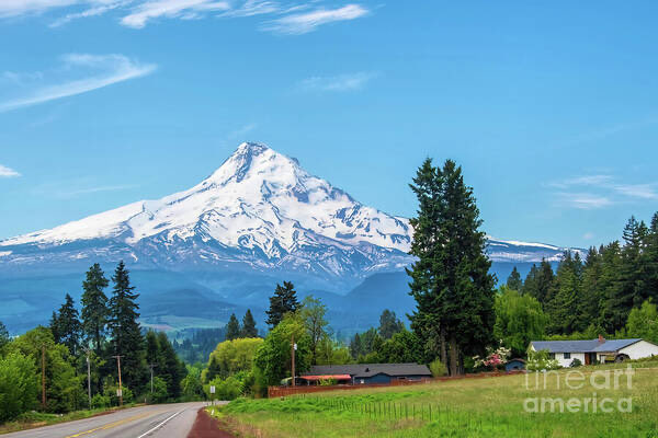 Diana Mary Sharpton tweet media