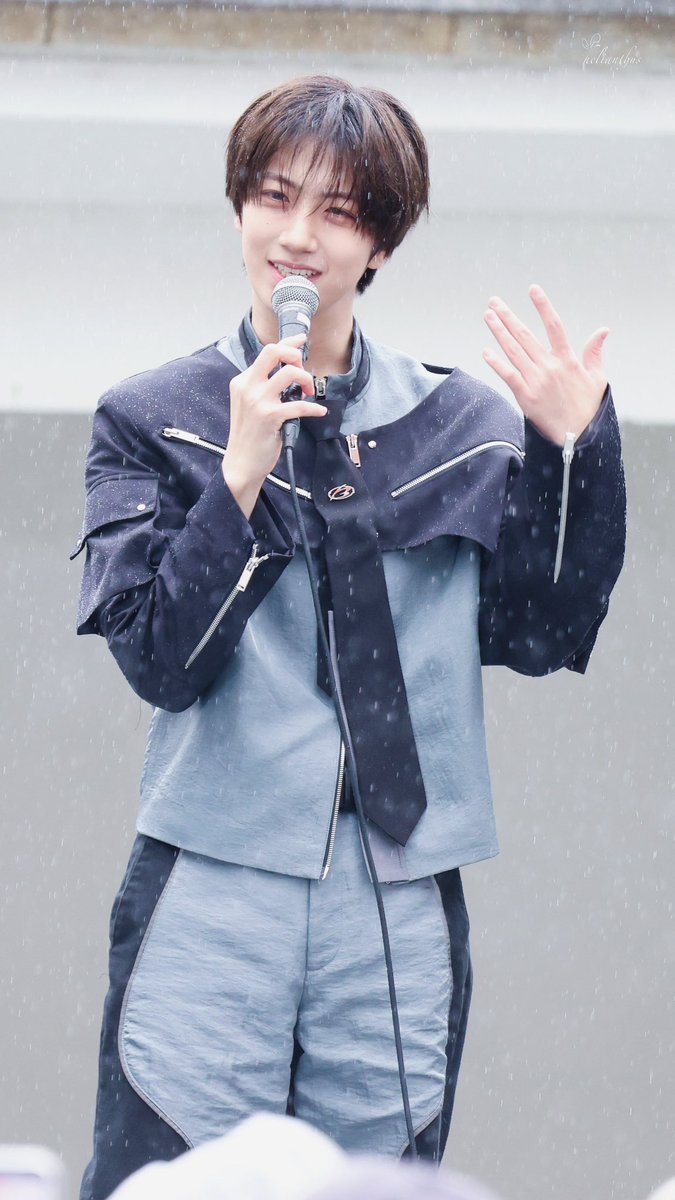 Helianthus tweet media