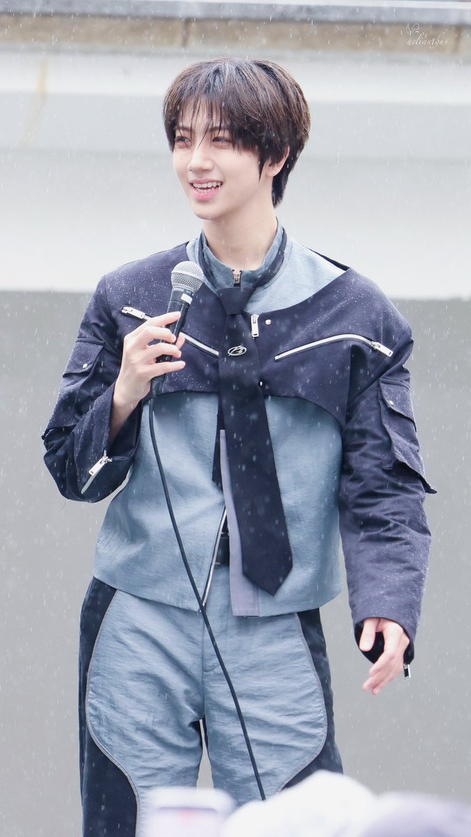 Helianthus tweet media