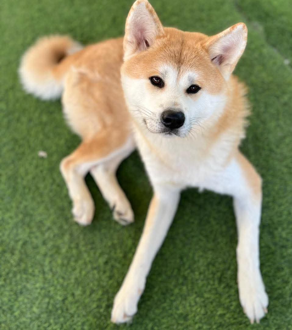 Claire Hopkin 🏴󠁧󠁢󠁷󠁬󠁳󠁿 tweet media