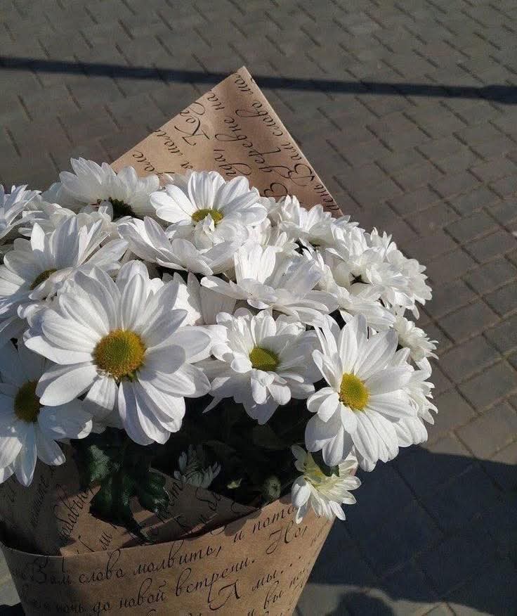 sunflower.🌻🤍 tweet media