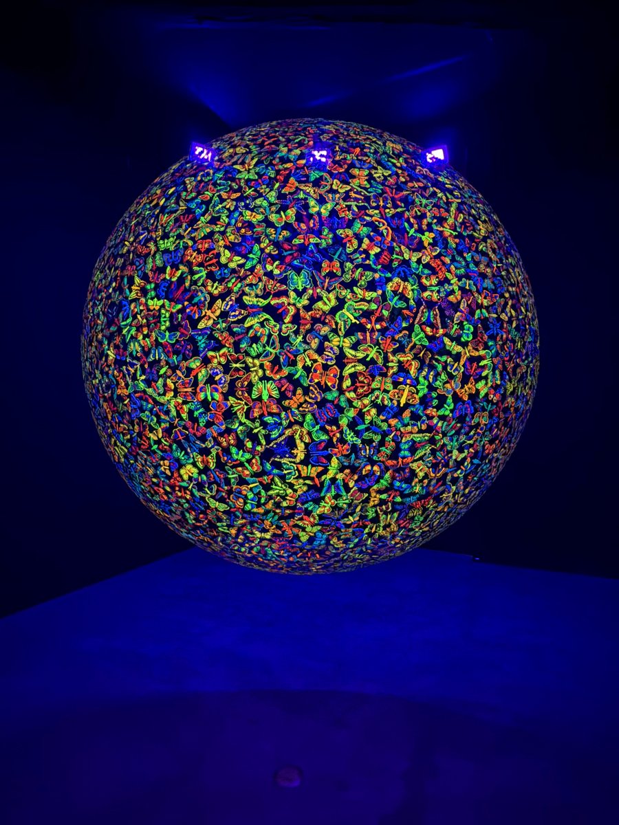 ぷらいまり。 tweet media