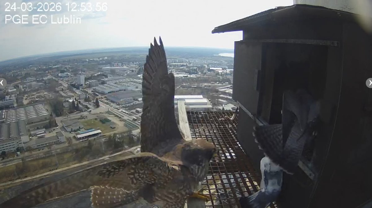 Alaska 🇮🇹 tweet media