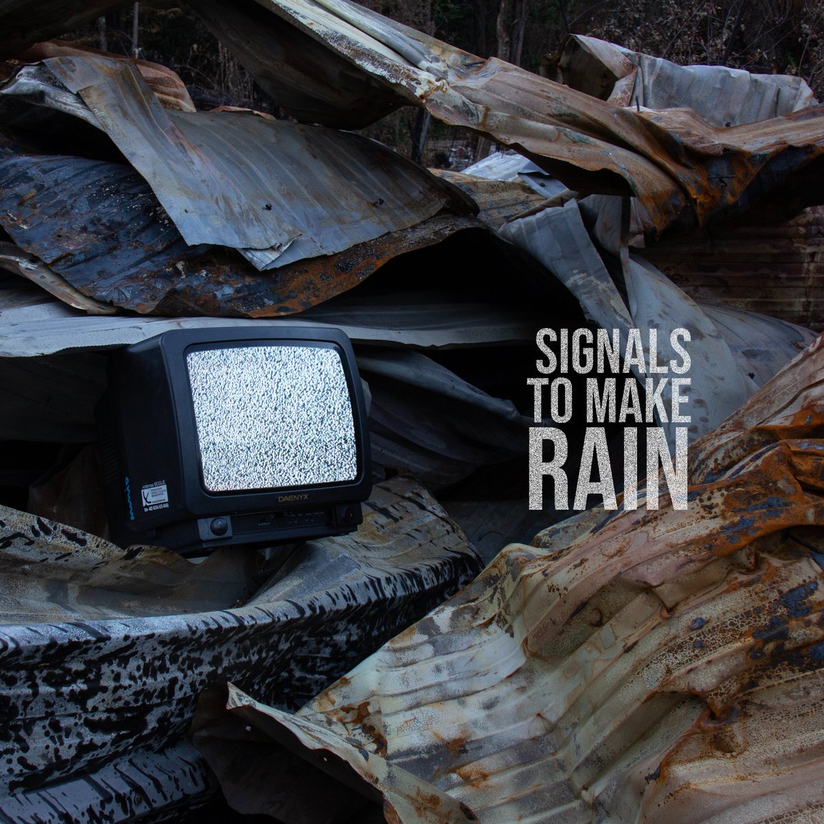 Rocio Mio tweet media