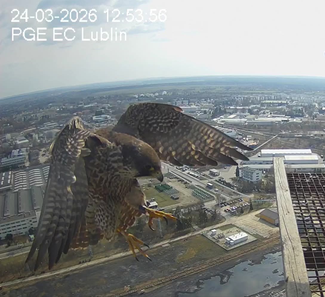 Alaska 🇮🇹 tweet media