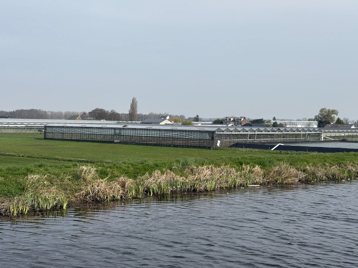 De Echtgenoot Van tweet media