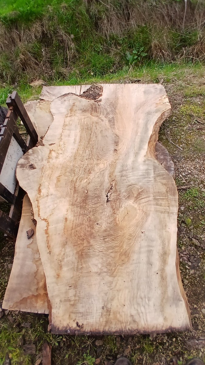 Patrick Turk tweet media