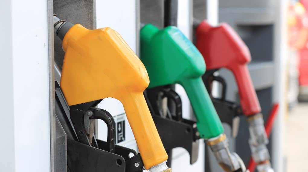 StarNews Noticias tweet media