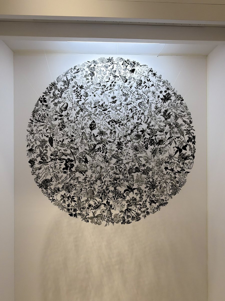 ぷらいまり。 tweet media