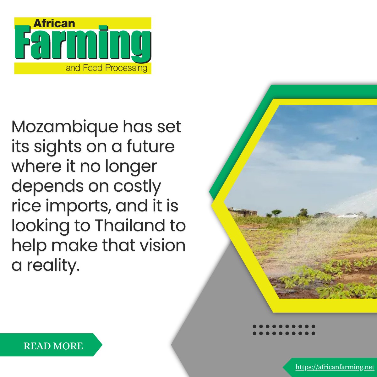 Mozambique looks to Thailand to build a homegrown rice industry

Read more:zurl.co/wZIOr
#allinafrica #agriinnovation #af #africatech #food #smallholdfarmers #valuechain #agritec #Mozambique
