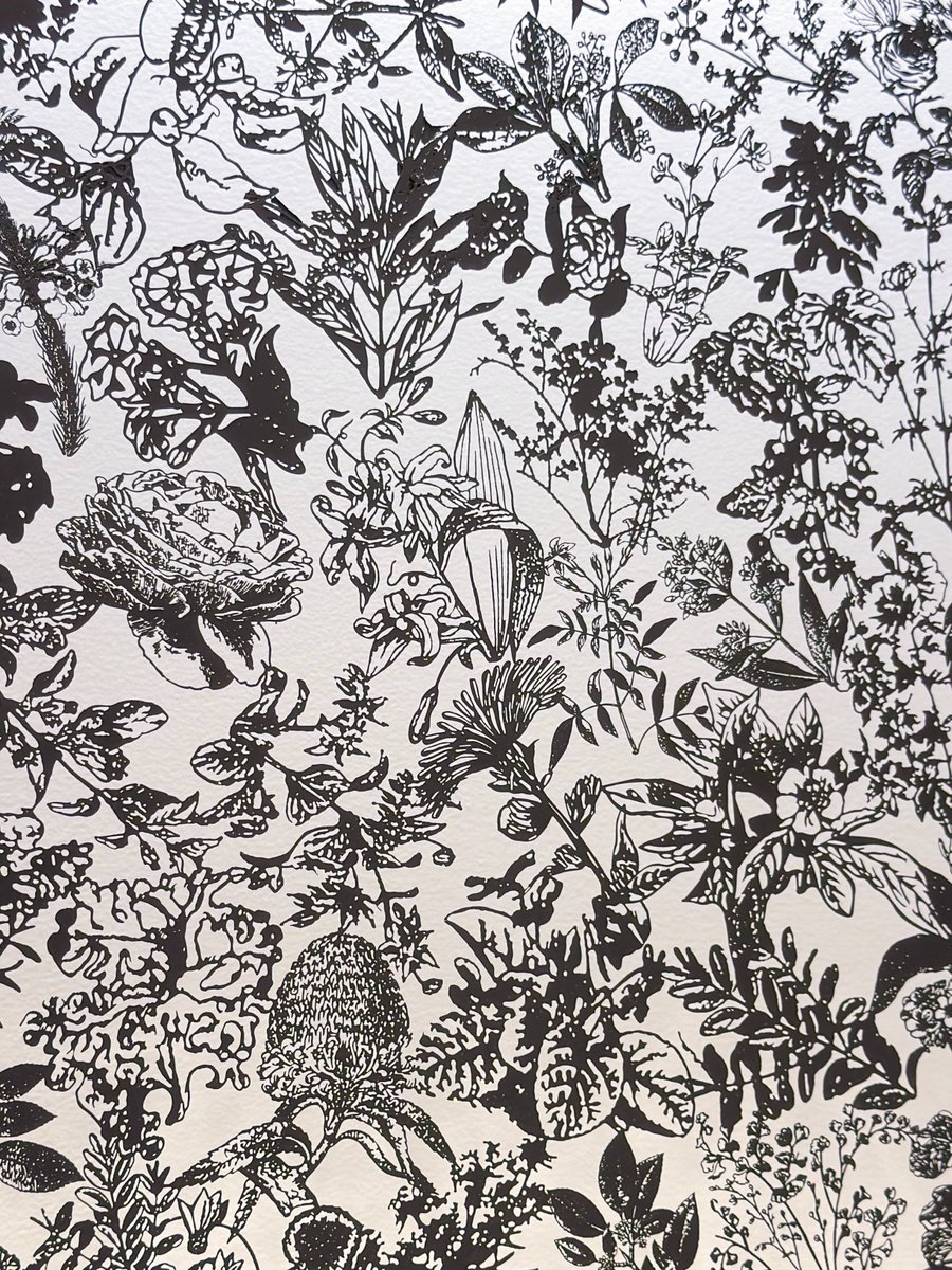 ぷらいまり。 tweet media