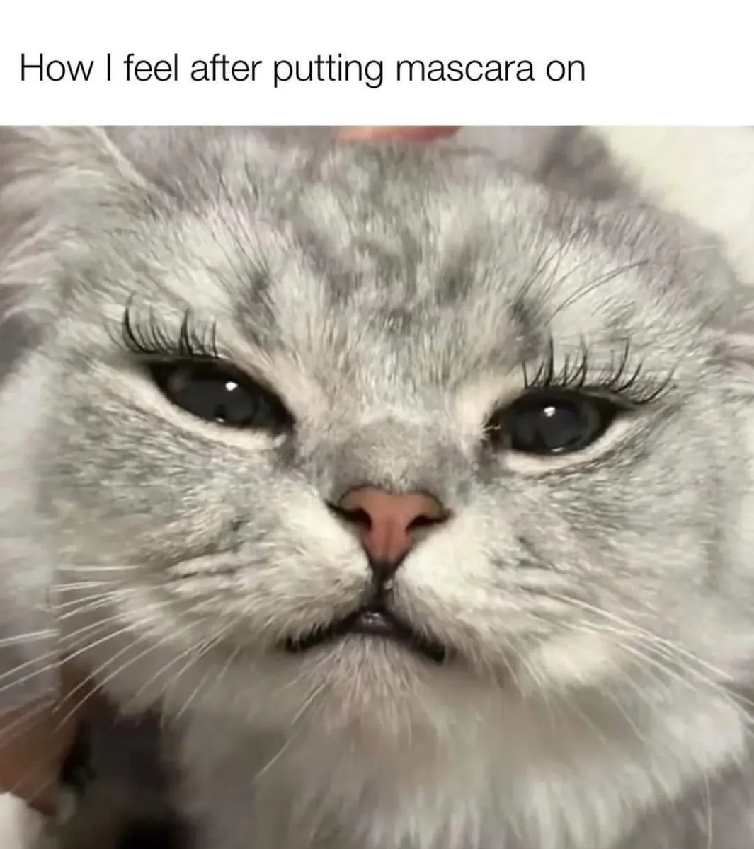 #true #onceamonth