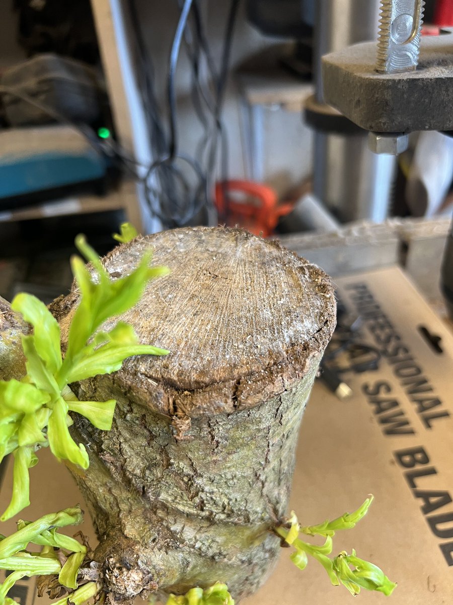 Andy Coates tweet media