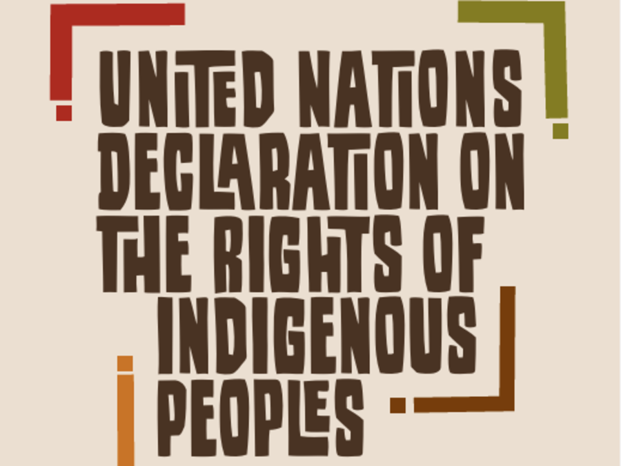 National Post tweet media