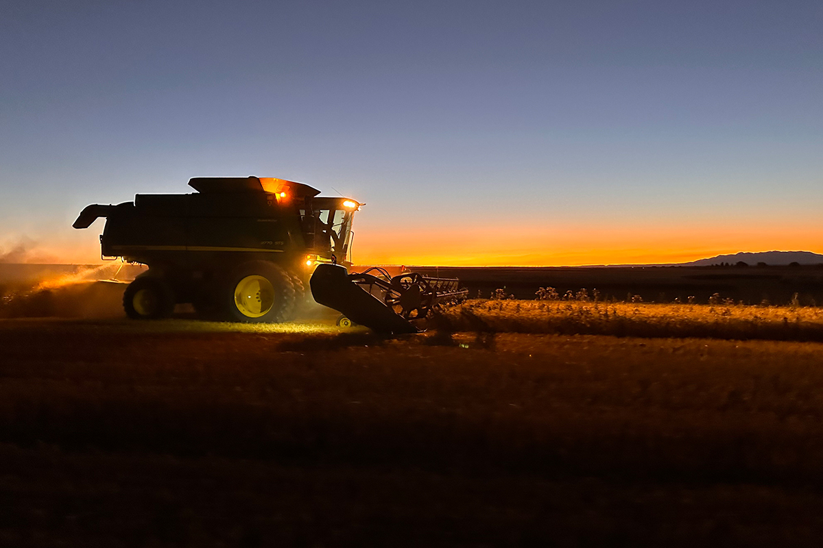 IFA Country Store tweet media