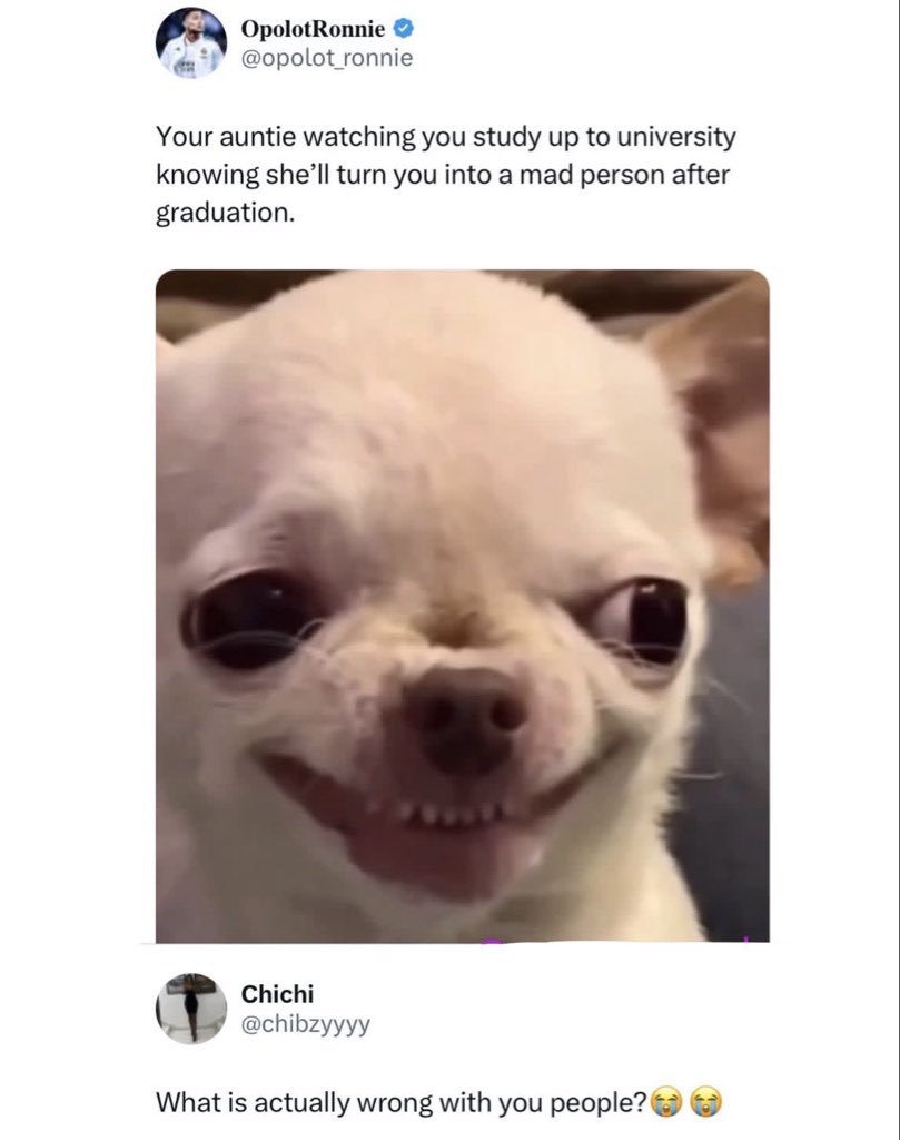 Dirmax✨🌍 tweet media