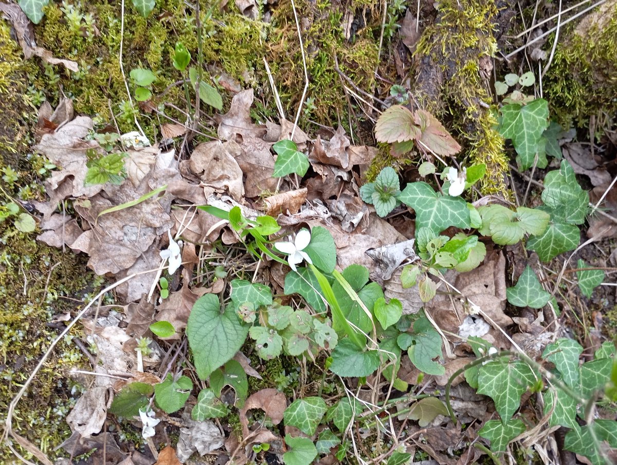 AnđaVlajina tweet media