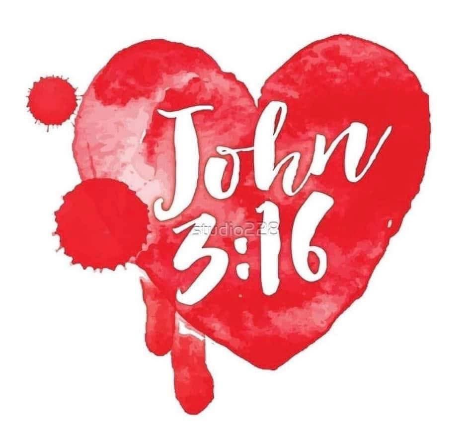 🍃✝️🐾🕊Becky🐾✝️🍃 tweet media