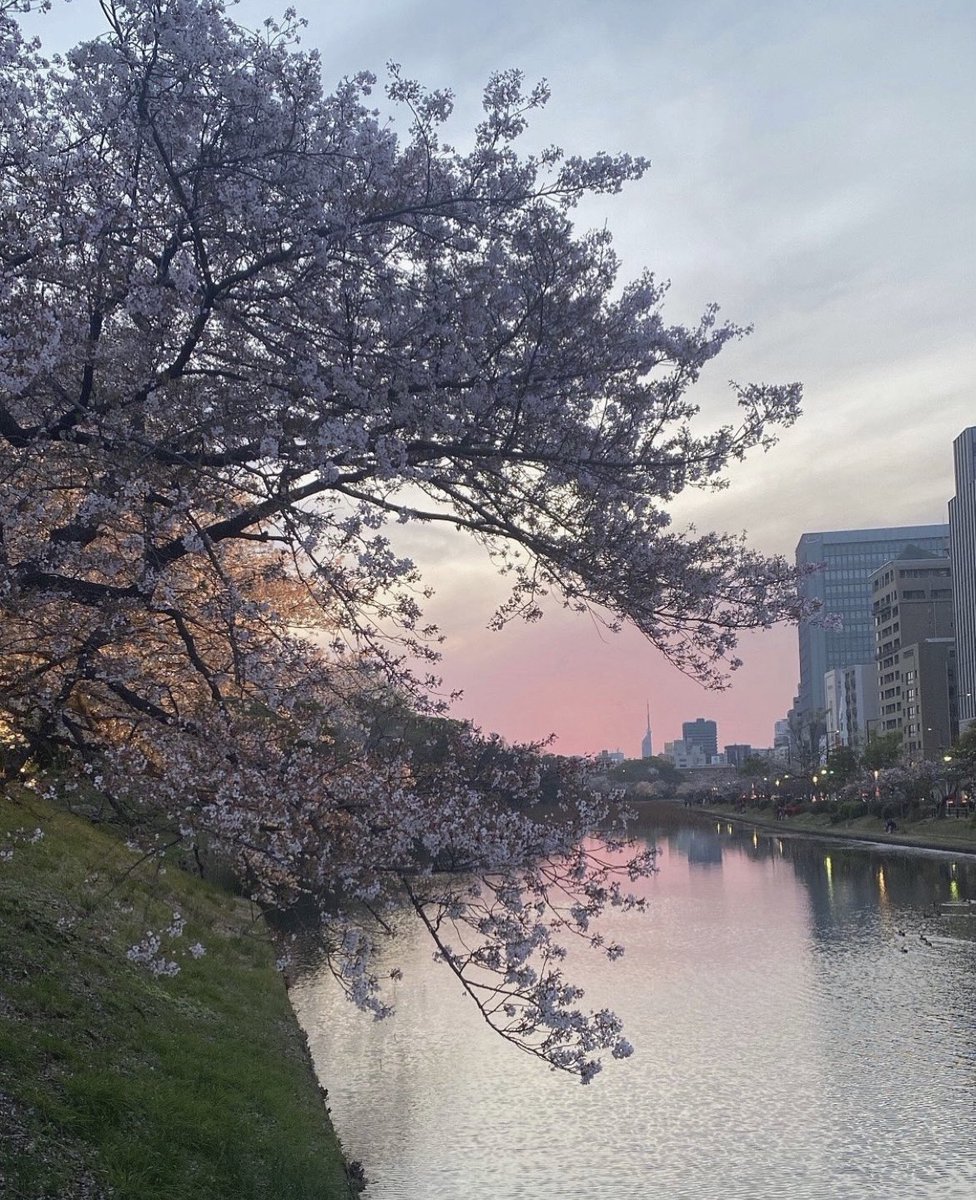 なべちゃんぽん💪🏽 tweet media