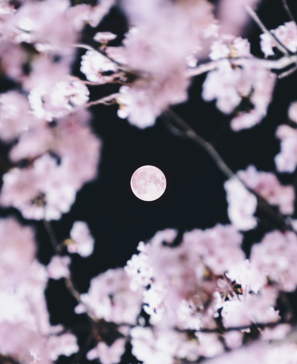 なべちゃんぽん💪🏽 tweet media