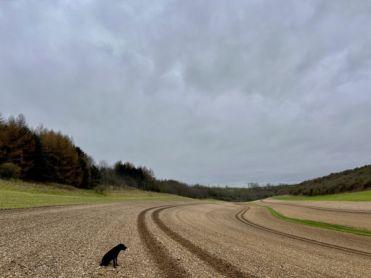 Yorkshire Wolds Weather tweet media