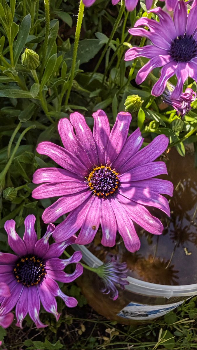 João Matos (@jlmmam72) on Twitter photo 