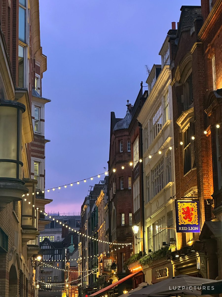 LuzPictures tweet media