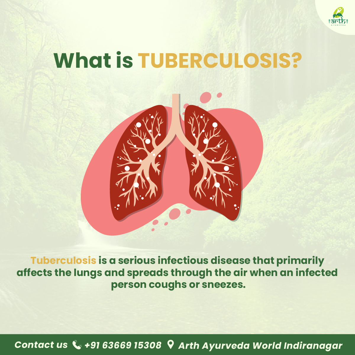 world_arth's tweet photo. World TB Day is a reminder that strong immunity, nutrition, and timely medical care matter.

Call us to get personalised guidance from Arth Ayurveda World.
#WorldTBDay #TBawareness #Rasayana #ImmunitySupport #Ayurveda #ArthAyurvedaWorld #HolisticHealt #NaturalHealing https://t.co/q44Lv77LHg