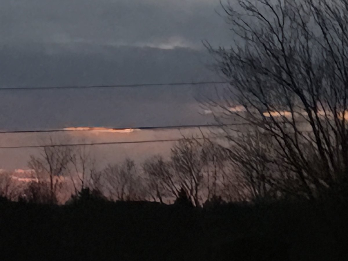 Papa Dino tweet media