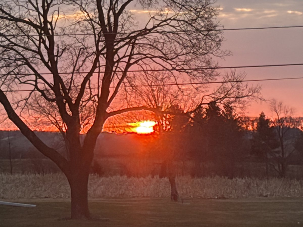 Papa Dino tweet media