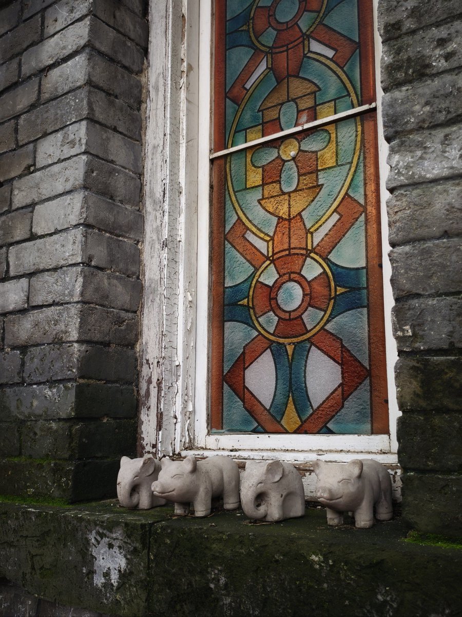 Daniel Laflor tweet media